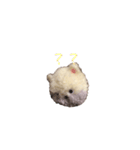 ポンポンクマ（個別スタンプ：39）