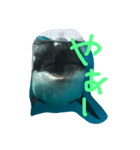 0rcachan（個別スタンプ：3）
