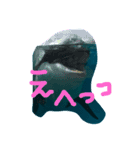 0rcachan（個別スタンプ：4）