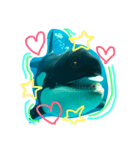 0rcachan（個別スタンプ：8）