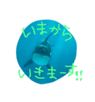 0rcachan（個別スタンプ：10）