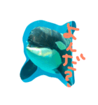 0rcachan（個別スタンプ：11）