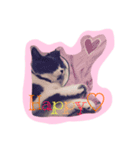 neko no nichijo（個別スタンプ：9）