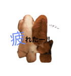 ぷーどる7（個別スタンプ：22）