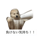 えにぱる（個別スタンプ：2）