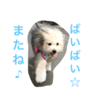 えにぱる（個別スタンプ：3）
