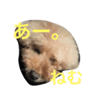 えにぱる（個別スタンプ：7）