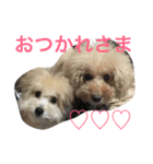 えにぱる（個別スタンプ：8）