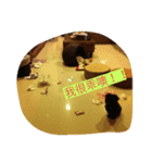 Boom Boom~（個別スタンプ：2）