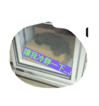 Boom Boom~（個別スタンプ：3）