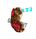 Boom Boom~（個別スタンプ：7）