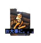 iwahori（個別スタンプ：3）