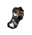 dog.dog.dog（個別スタンプ：2）