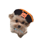dog.dog.dog（個別スタンプ：3）