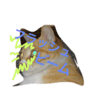 吾輩は猫のセチ（個別スタンプ：21）
