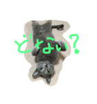 ロシ（個別スタンプ：2）