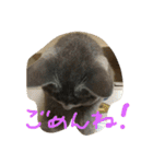 ロシ（個別スタンプ：5）