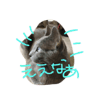 ロシ（個別スタンプ：18）