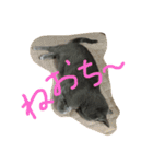 ロシ（個別スタンプ：30）