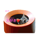 しづく＆あんづな日々（個別スタンプ：15）