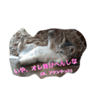 しづく＆あんづな日々（個別スタンプ：32）