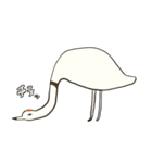しましまのとりとぶつぶつのとりとツル（個別スタンプ：9）