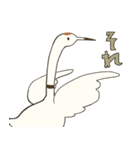 しましまのとりとぶつぶつのとりとツル（個別スタンプ：10）