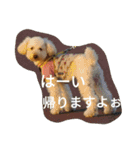 ヤマトときなこ（1）（個別スタンプ：8）