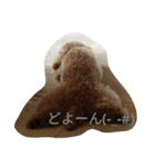 ヤマトときなこ（1）（個別スタンプ：11）
