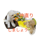 ヤマトときなこ（1）（個別スタンプ：14）