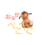 nicoten 001（個別スタンプ：13）