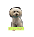 ホップドック（個別スタンプ：1）