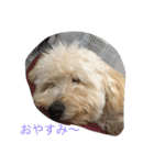 ホップドック（個別スタンプ：2）