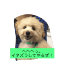 ホップドック（個別スタンプ：5）