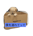 ホップドック（個別スタンプ：7）