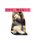 ホップドック（個別スタンプ：8）