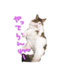 むぅさま（個別スタンプ：7）