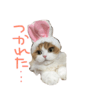 むぅさま（個別スタンプ：8）
