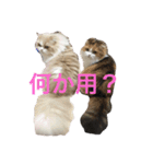 むぅさま（個別スタンプ：9）