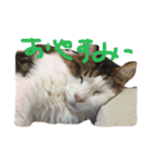むぅさま（個別スタンプ：12）