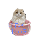 むぅさま（個別スタンプ：13）