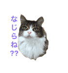 むぅさま（個別スタンプ：14）
