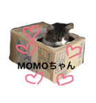 むぅさま（個別スタンプ：15）