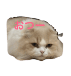 むぅさま（個別スタンプ：21）