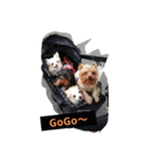 my lovely dogs.（個別スタンプ：10）
