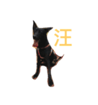 Doggy ＆ froggy（個別スタンプ：2）