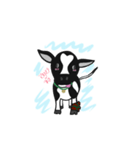 CHUEN-JAI/little cow（個別スタンプ：3）