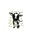 CHUEN-JAI/little cow（個別スタンプ：6）