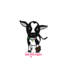 CHUEN-JAI/little cow（個別スタンプ：13）