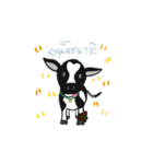 CHUEN-JAI/little cow（個別スタンプ：16）